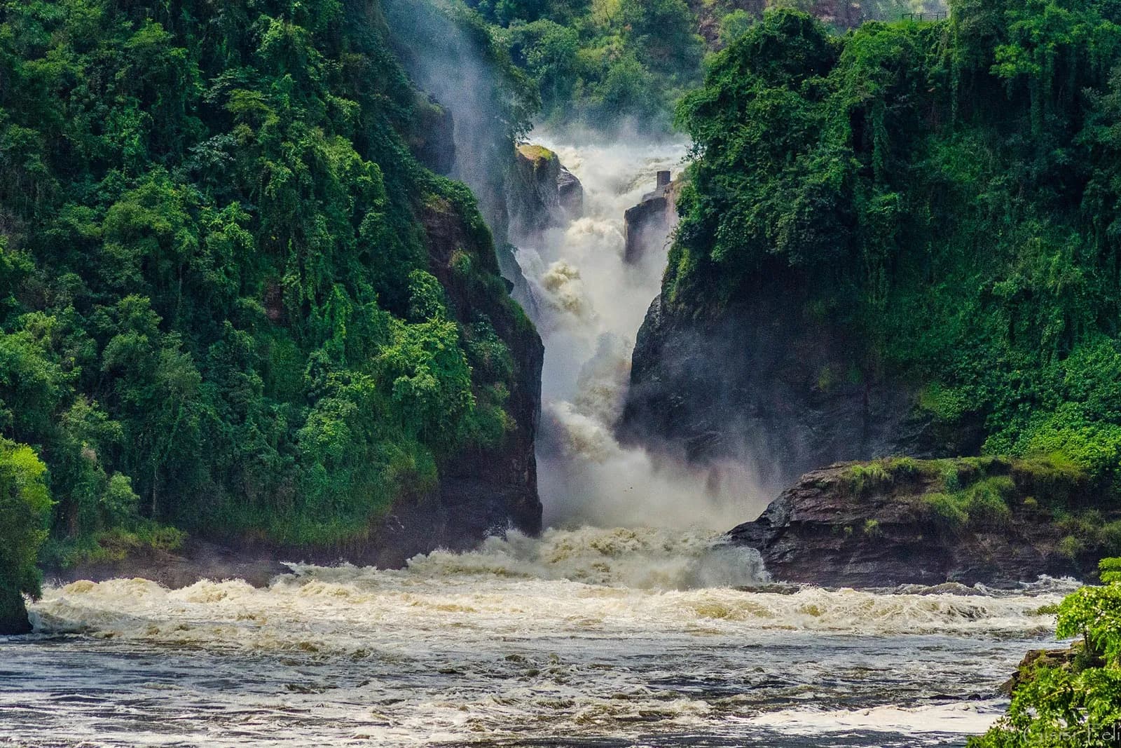 Nile boat cruise to the base of Murchison Falls, Uganda