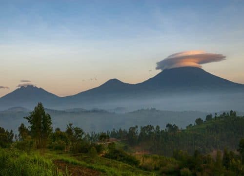 Volcanoes National Park, Rwanda